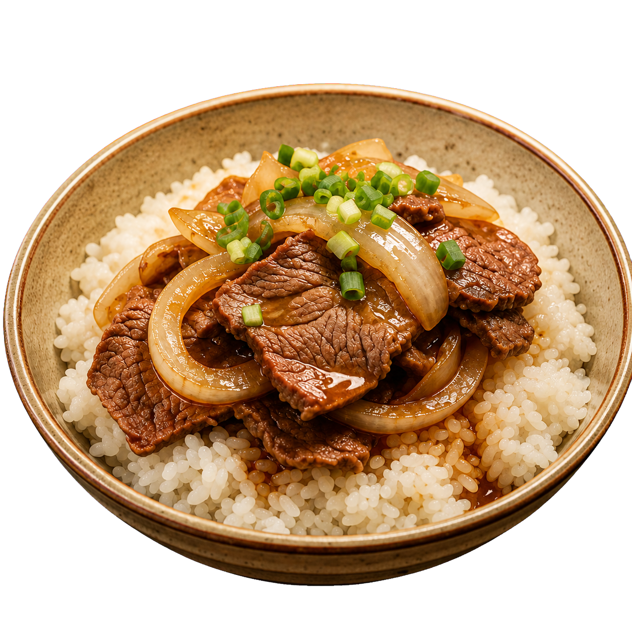 Bœuf sauté aux oignons