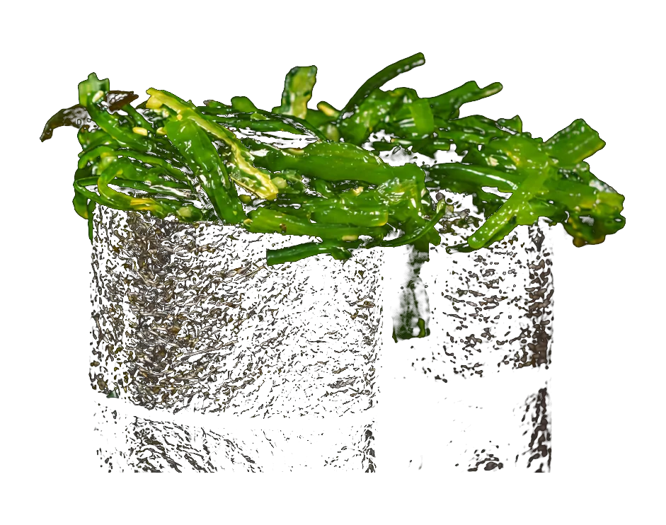 Gunkan de wakame