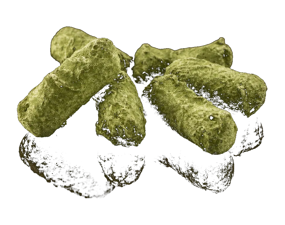 Trufas japonesas de té verde