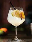 Spritz Fleur de sureau (20cl)