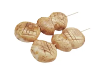 Y10. Champignon