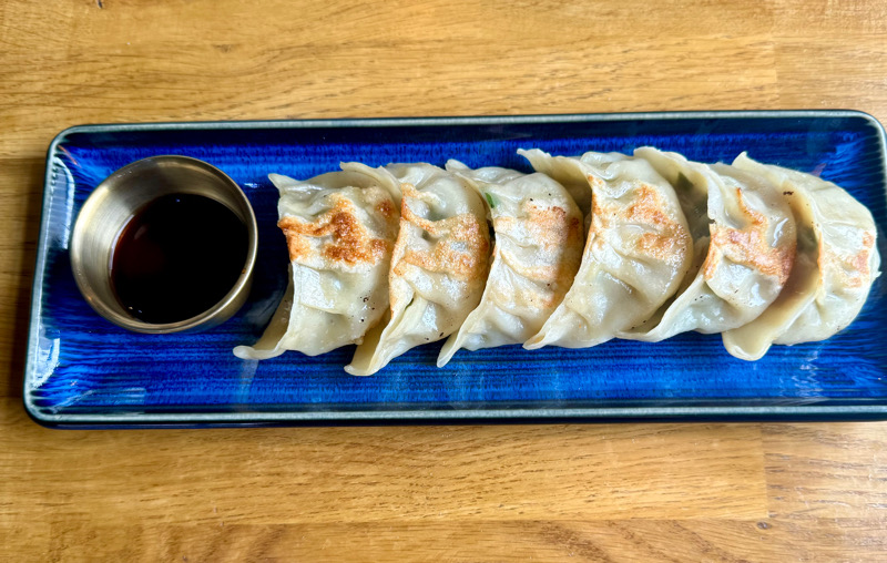 E1. Chicken dumplings