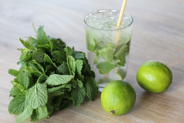 MOJITO