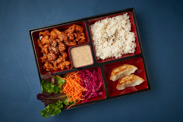 Bento Box B