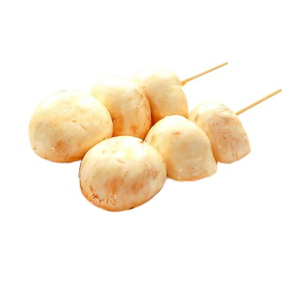 Y11 Champignons