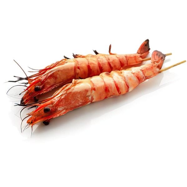 Y9 Gambas