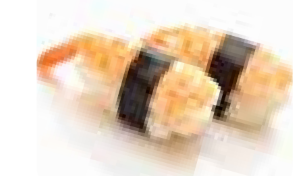 U6 Ebi (crevette)
