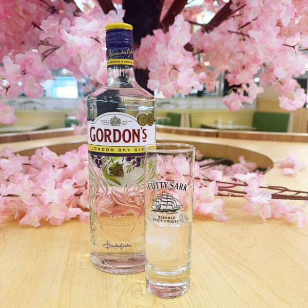 Gordon's Gin 4cl