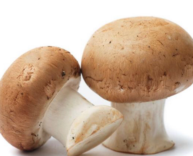 141.香菇 Champignons frais