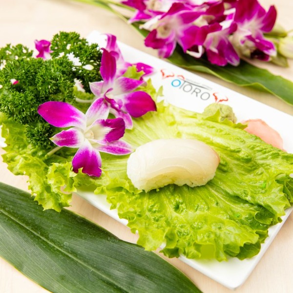 U3 Sushi Daurade