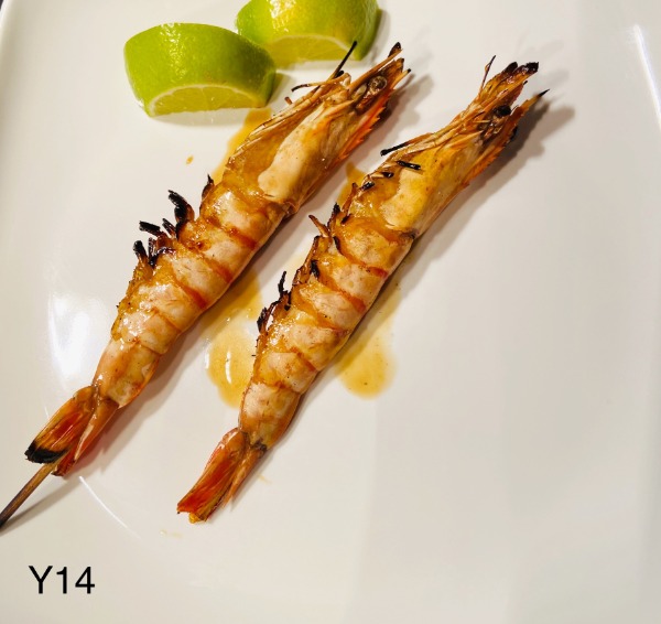 Y14 gambas
