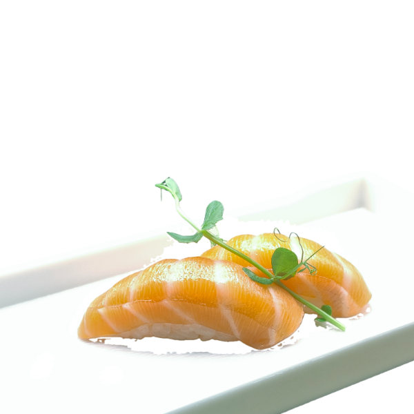 205. SALMONE