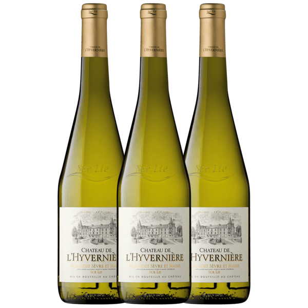 Muscadet Sèvre et Maine sur Lie AOP Château de Lhyvernière 37.5cl