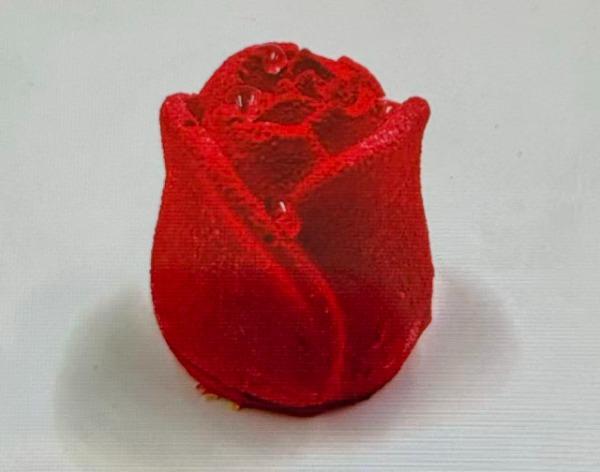 Red rose