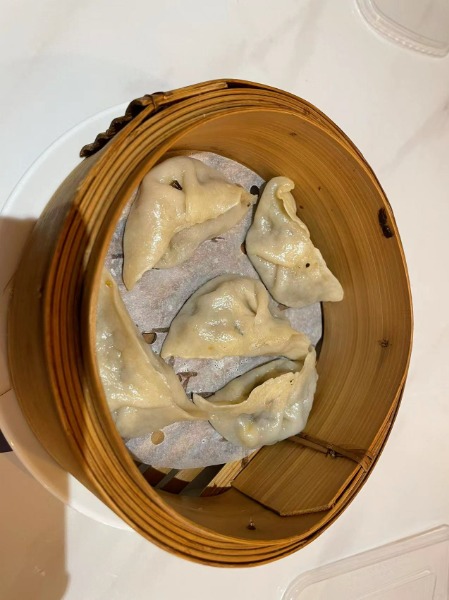 E5. 素煎饺. Raviolis végétarien grillés (5 pièces)