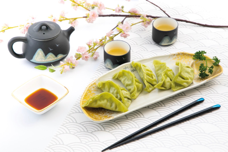 H10-gyoza végétarien