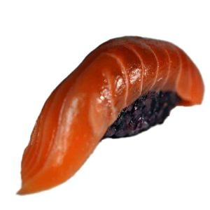 N13b. Black salmone