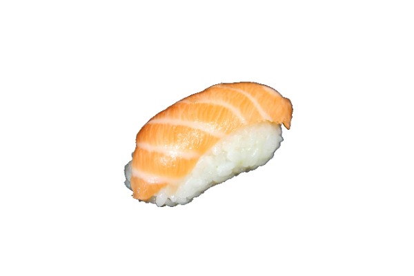 N13. Salmone