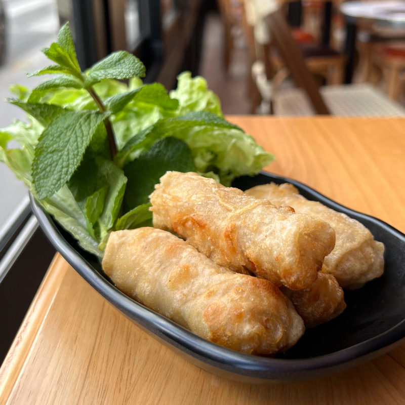 Fried homemade chicken spring rolls