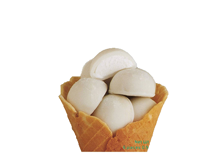 D19. Mochi coco 1pz