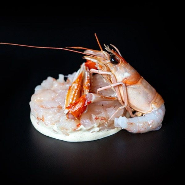 A05. EBI TARTARE