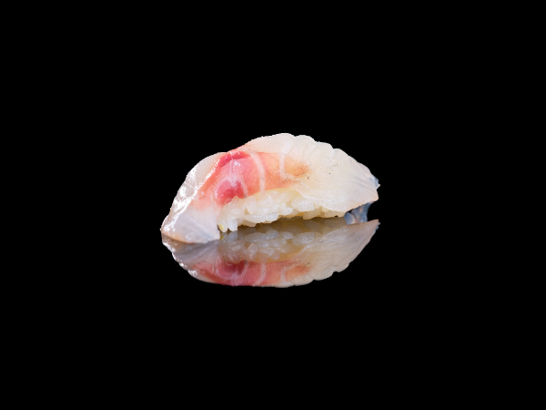N04. SUZUKI 1 PCS