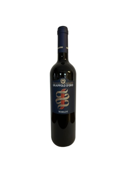 B14. Merlot bottiglia