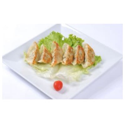 E5 Gyoza