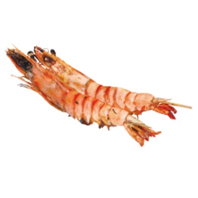 Y11 Gambas