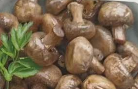 CH4. Champignons sautés