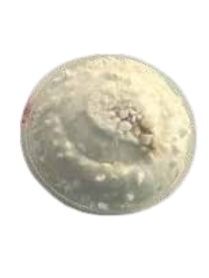 D5. Tartufo Bianco o Nero