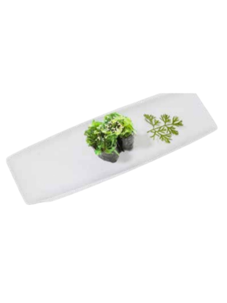 046. Wakame❄️