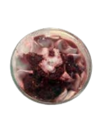 D11. Bicchiere in Vetro Yogurt con Frutti di Bosco