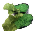 30B Masago vert