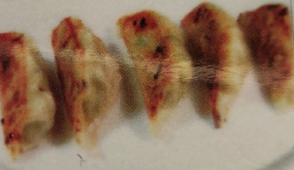 H05 Raviolis