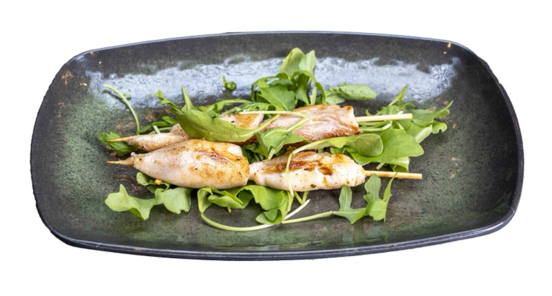 248.SPIEDINI DI POLLO