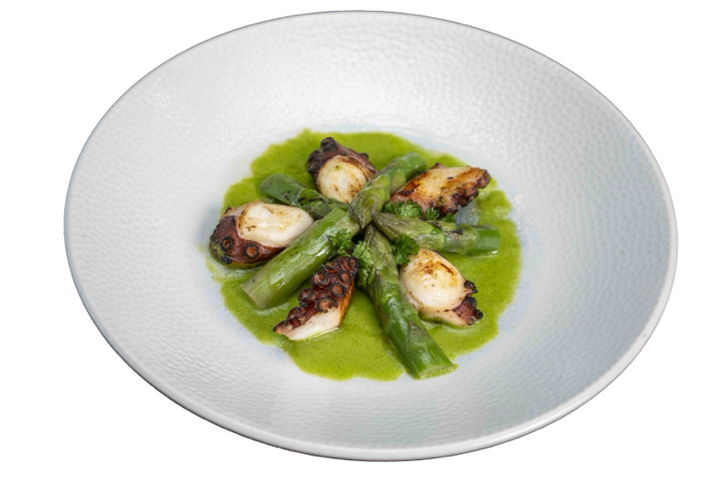 SP11. GREEN TAKO