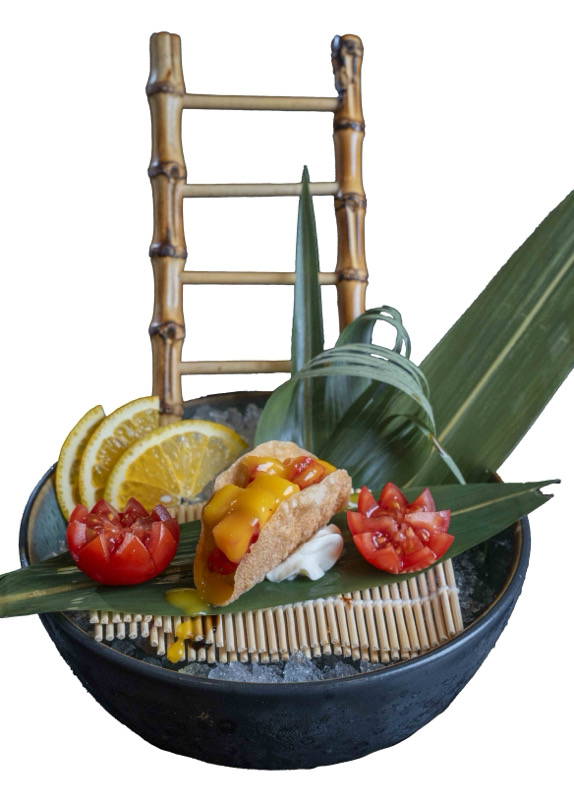 73.TACO FRUIT