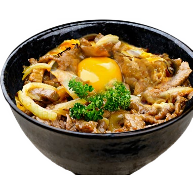 DB2. Donburi au boeuf sauté et oignon