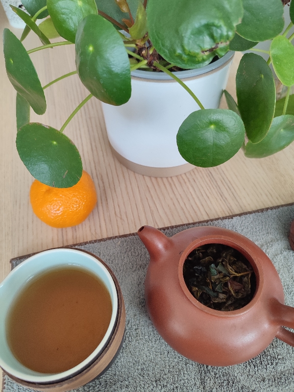 Sticky rice oolong bio 糯米香乌龙 théière
