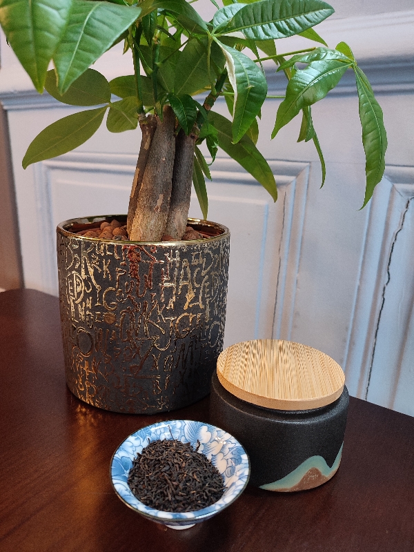 Thé noir Yunnan Dian Hong 滇红 théière