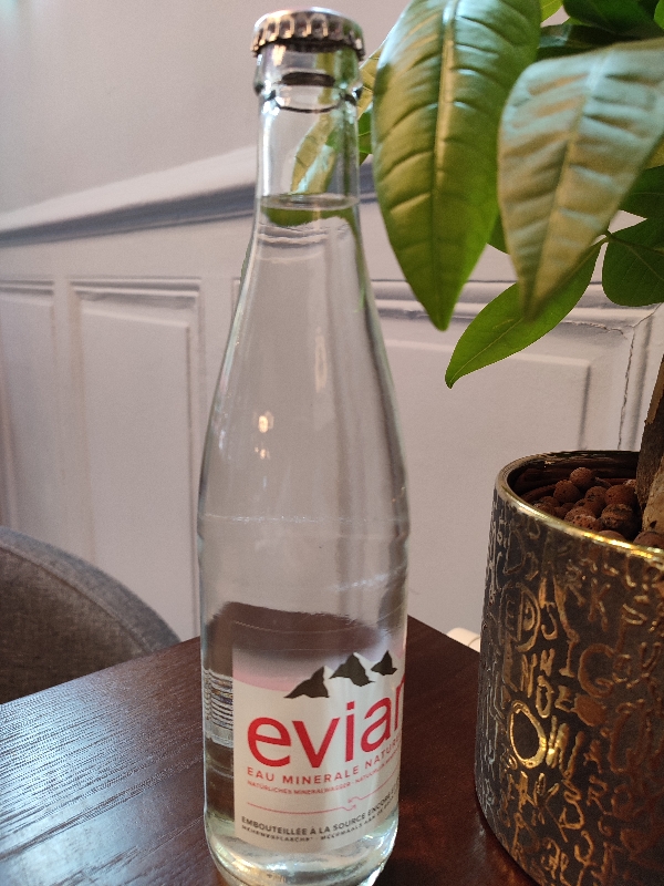Eau minérale Evian (50CL)