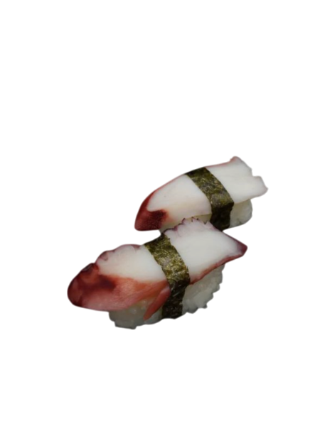 N12° Poulpes