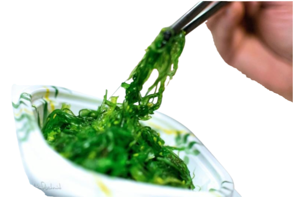 E1 Salade d'algues