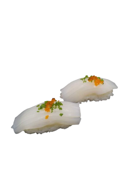 N11° Calamars