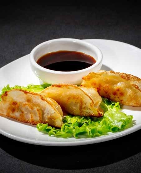 15. GYOZA TEPPANYAKI 4PZ