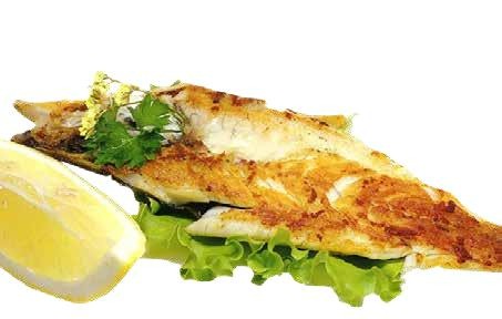 249. BRANZINO