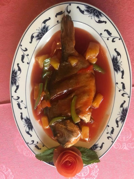 024. DAURADE PIOA VANE🌶🌶