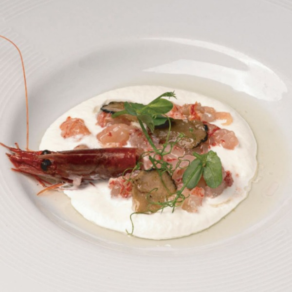 52. Red scrimp burrata