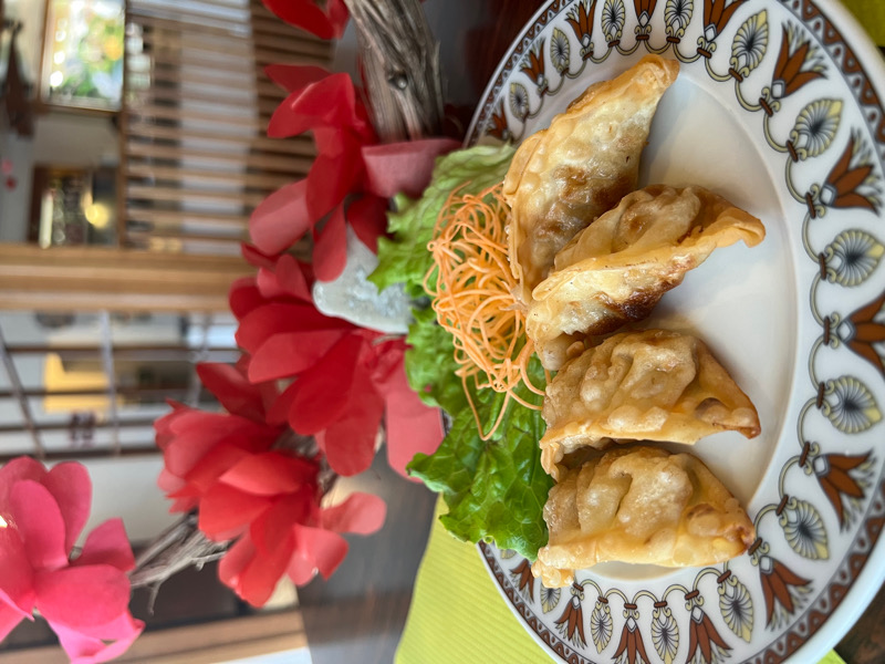105. Raviolis Porc frites (4 PCS)